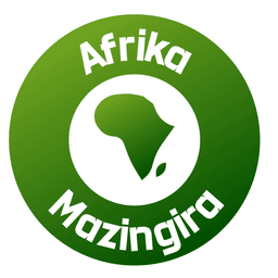 Logo du partenaire 11